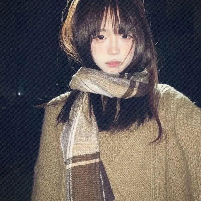 智叻狗仔队